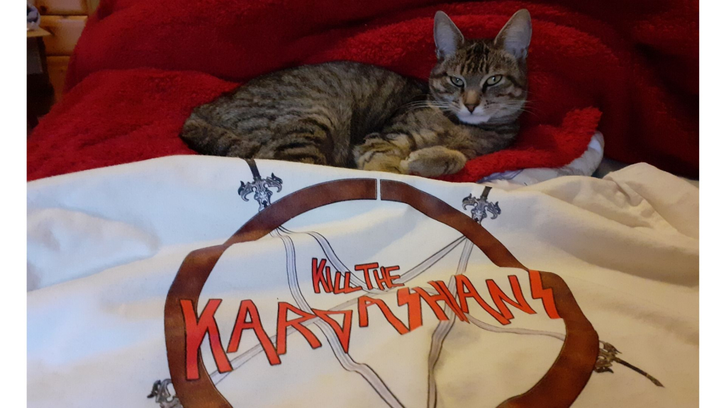 a cat lying on a bed next to a T-shirt which reads 'Kill the Kardashians'