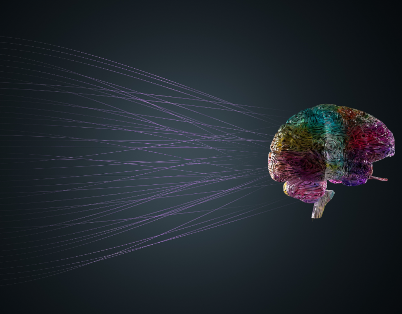 Making services accessible to people with learning disabilities